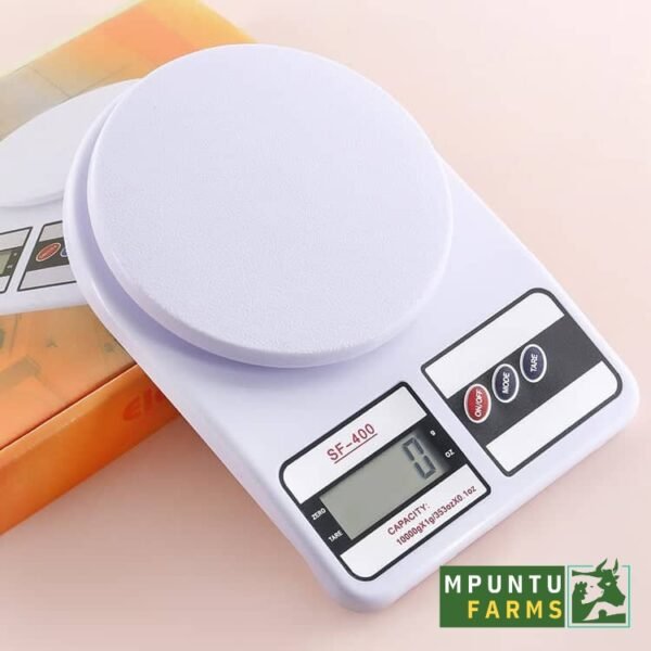 Digital Table Top Scale