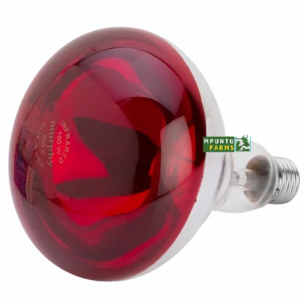Brooding Heat Bulb