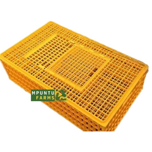 Transport Cages (Big Size)