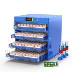 Dual Power Automatic Incubator (400 Eggs Capacity)