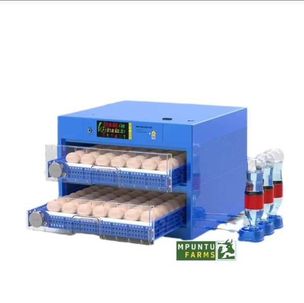 Dual Power Automatic Incubator (2 tier)