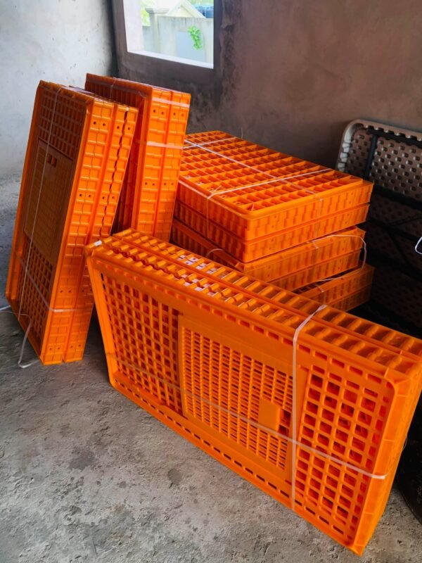 Transport Cages (Big Size) - Image 2