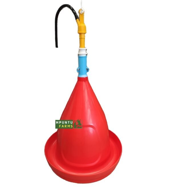 Automatic (Plasson) Drinker