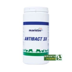 ANTIBACT 3X 1KG