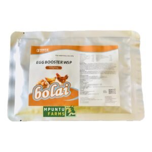 EGG BOOSTER WSP 100G