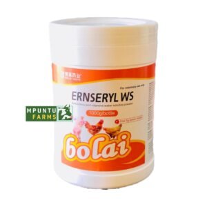 ERNSERYL WS 1KG