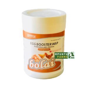 EGG BOOSTER WSP 1KG