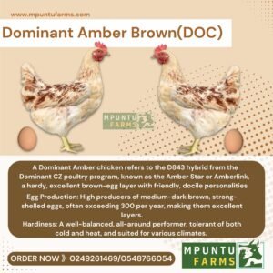 Dominant Amber Brown ( DOC )