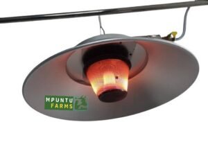 Circular Gas Brooder