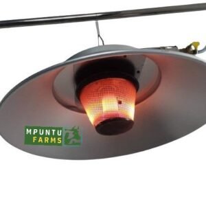 Circular Gas Brooder