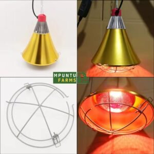 Ceramic Lamp Holder With Wire