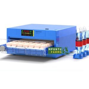 Dual Power Automatic Incubator (1 tier)