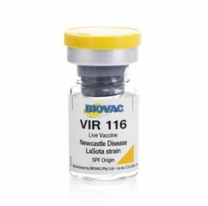 Lasota- 2nd Newcastle Vaccine