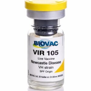 HB1- 1st Newcastle Vaccine