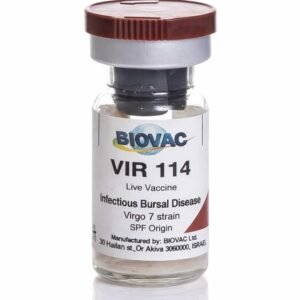 Gumboro Intermediate plus vaccine