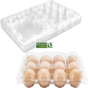 Transparent Egg Crates- 12 Holes
