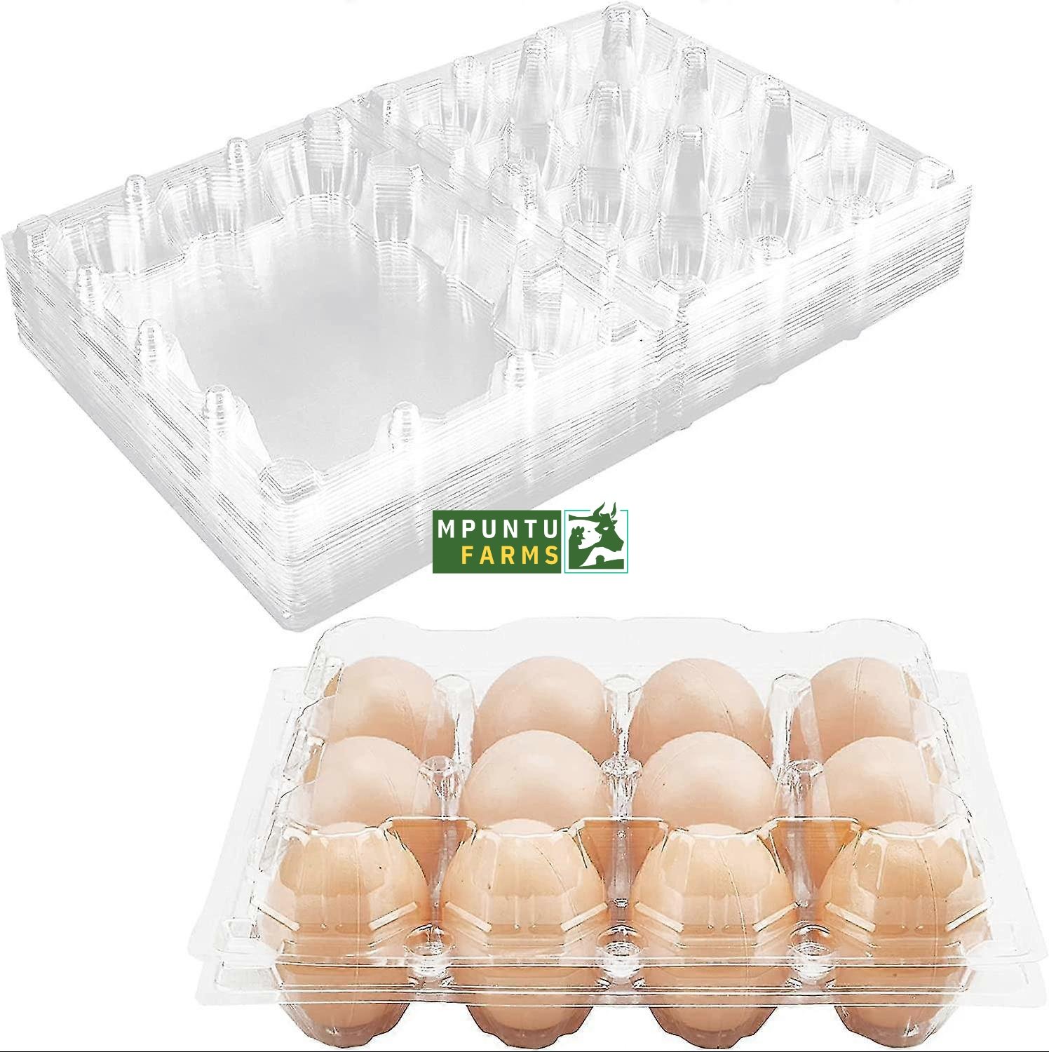 Transparent Egg Crates- 12 Holes
