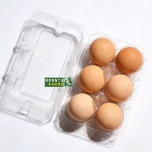 Transparent Egg Crates- 6 Holes