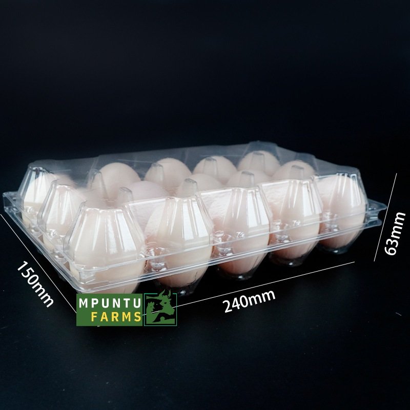 Transparent Egg Crates- 15 Holes - Image 2