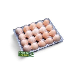 Transparent Egg Crates- 30 Holes
