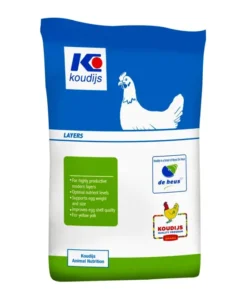 Koudjis Layer 2 Feed